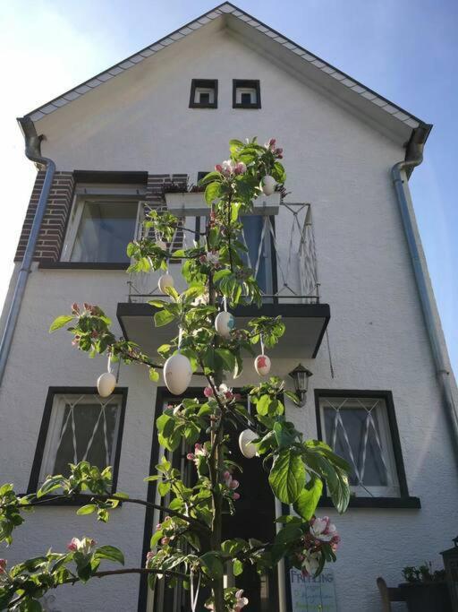 Schoenes Haus Mit Grossem Garten Зелигенштадт Экстерьер фото